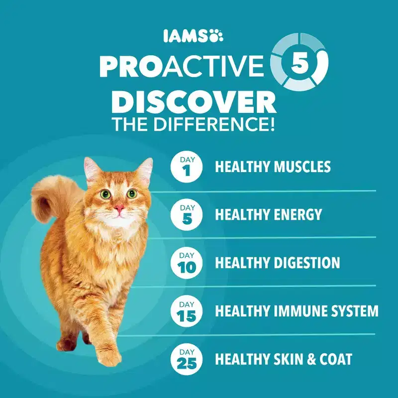 IAMS Proactive Health Weight Control and Hairball Care with Chicken and Turkey Flavor Indoor Dry Cat Food - 7lbs