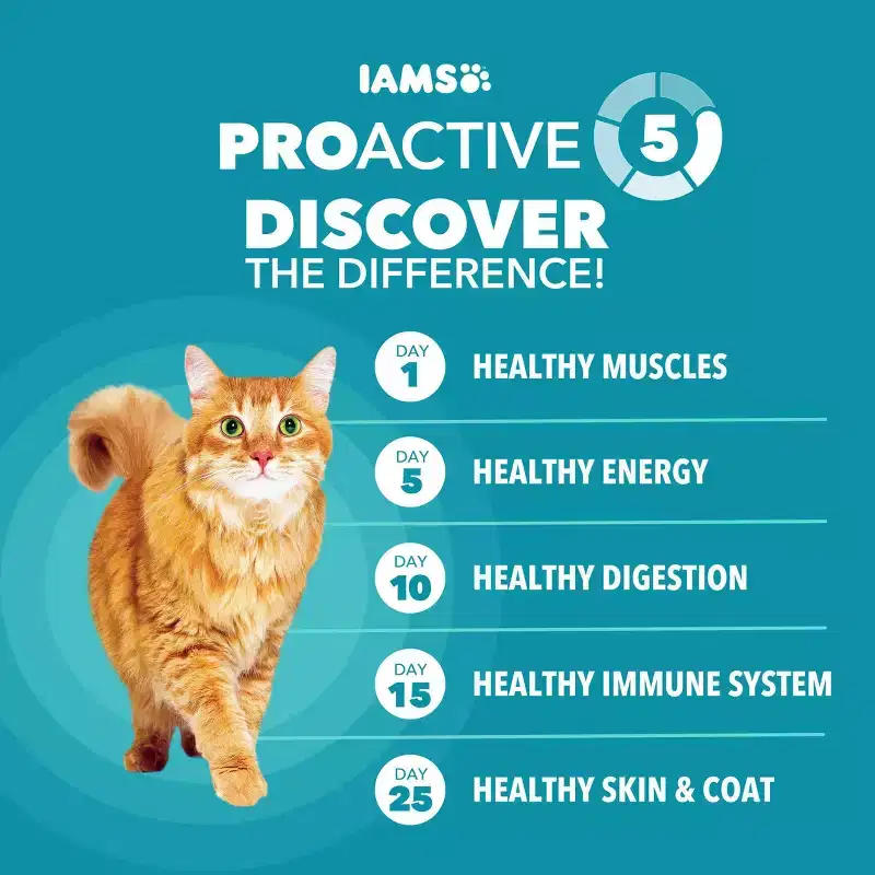 IAMS Proactive Health Weight Control and Hairball Care with Chicken and Turkey Flavor Indoor Dry Cat Food - 22lbs