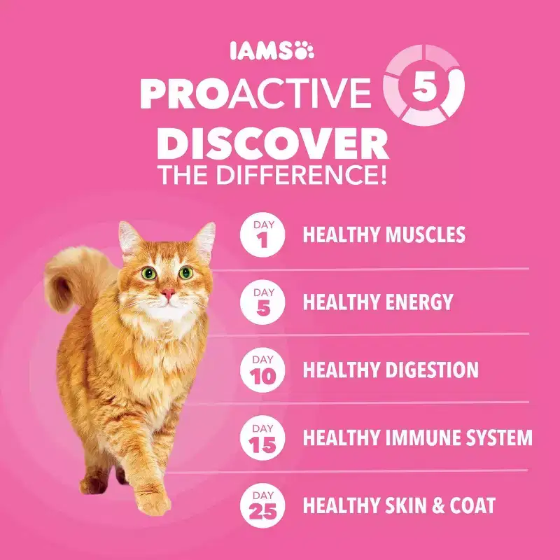 IAMS Proactive Health Sensitive Digestion and Skin Turkey Flavor Dry Cat Food