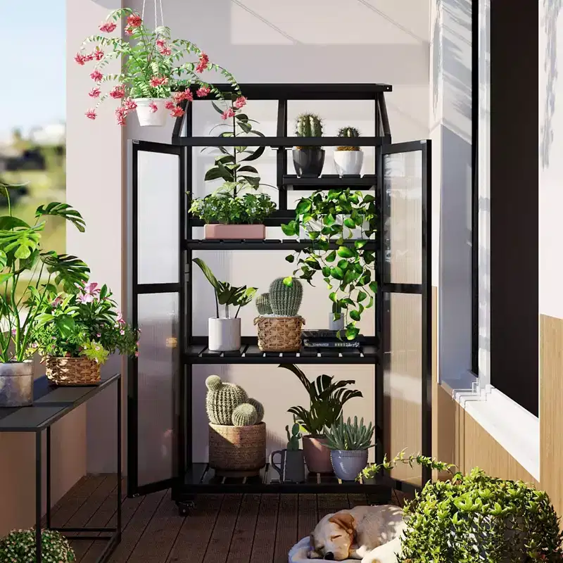Large Wood Greenhouse with Portable Cold Frame, Wheels & Adjustable Shelves, Indoor/Outdoor Use