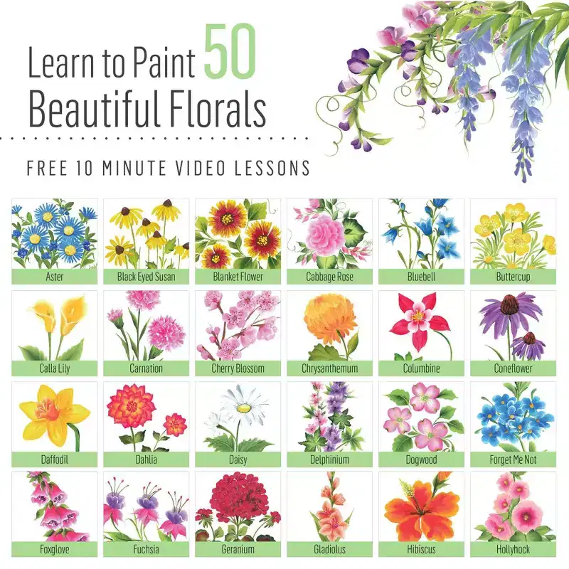 Os A-Z 50 Floral Kit: Multicolored Acrylic Paint & Primer, Interior/Exterior, 18 Sq Ft Coverage, Plaid