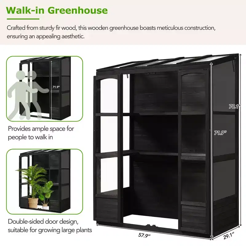 Whisen 78 Greenhouse with 4 Skylights & 2 Folding Shelves