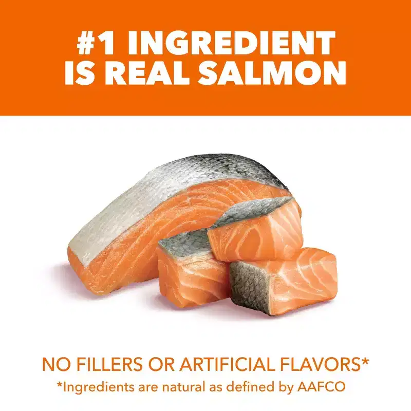 IAMS Proactive Health with Salmon Adult Premium Dry Cat Food