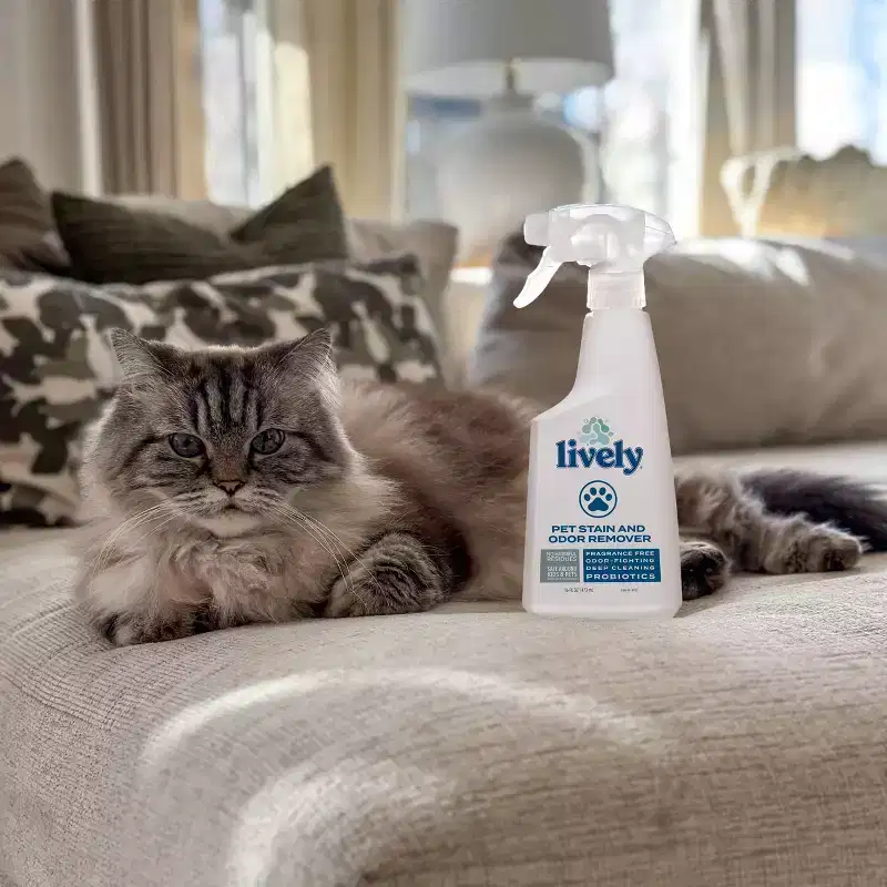 Lively Probiotic Unscented Pet Stain & Odor Remover Cleaning Spray - 16 fl oz