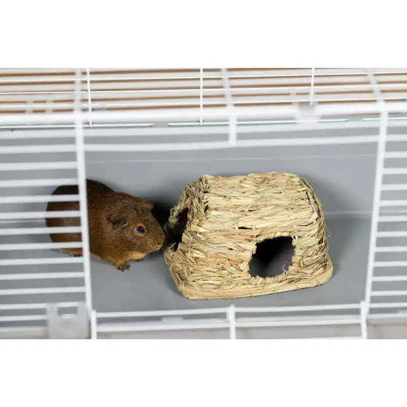 Prevue Pet Products Medium Grass Hut for Small Animals 1097